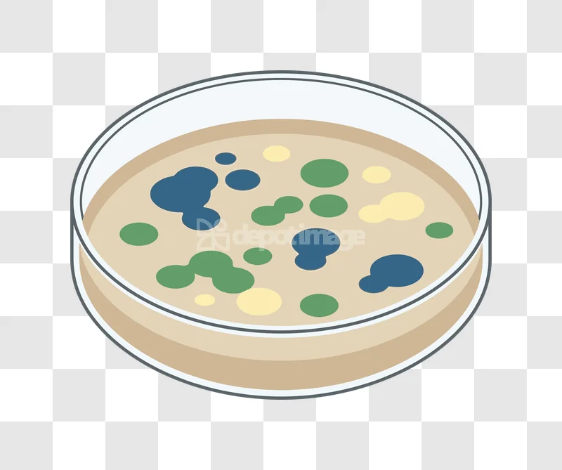 Petri Dish Colorful Bacteria Colonies Microbiology Lab flat cartoon style transparent