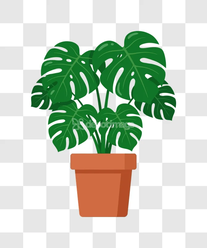 Potted Monstera Plant flat illustration green leaves terracotta pot