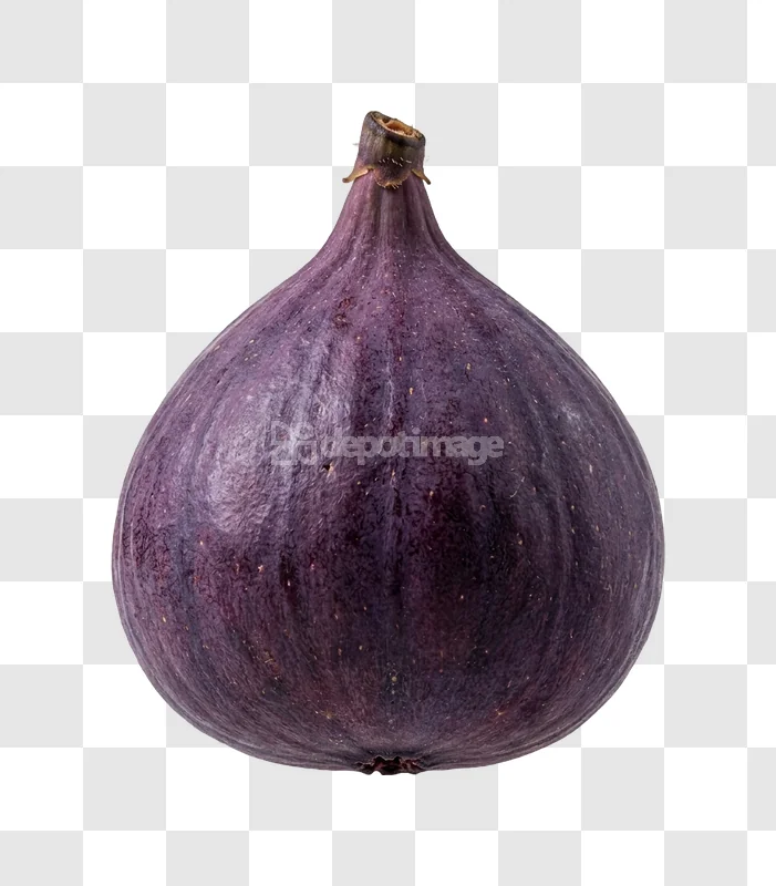Purple Ripe Fig Fruit