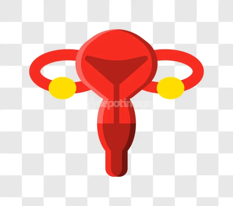 Red Female Reproductive System Anatomy Graphic Icon