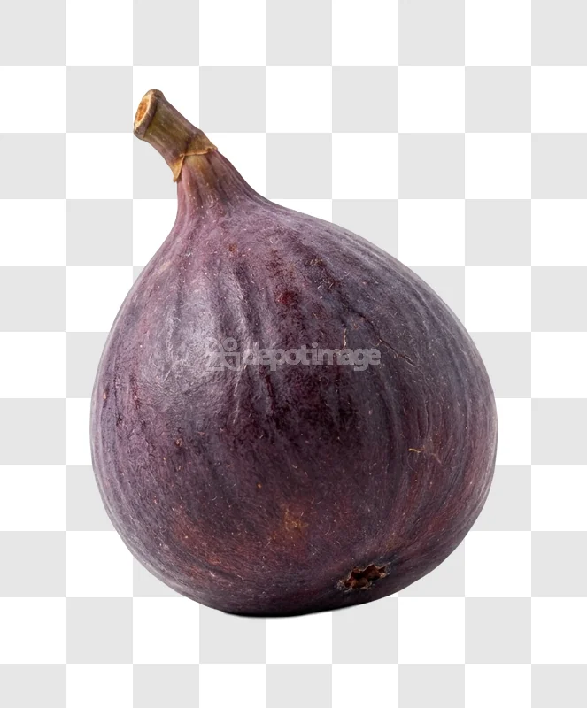 Ripe Dark Purple Fig Fruit with stem, dark purple skin, transparent background