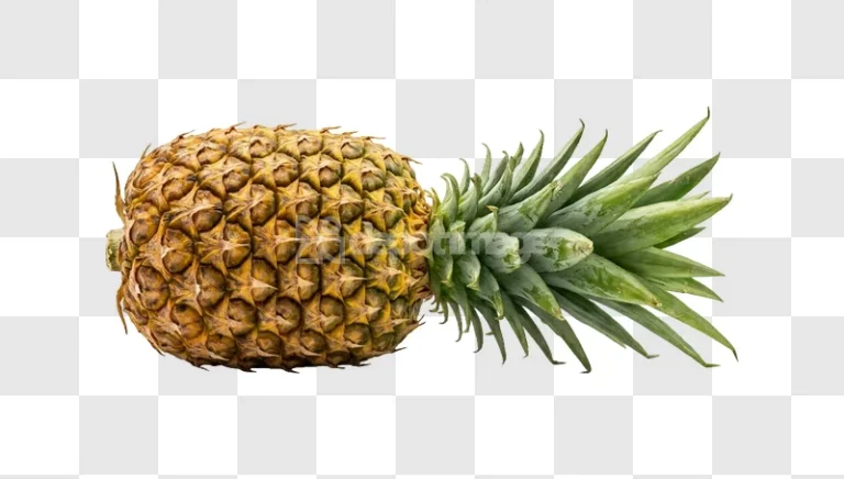 Ripe Fresh Pineapple Fruit Green Leaves Full with green crown, dark background