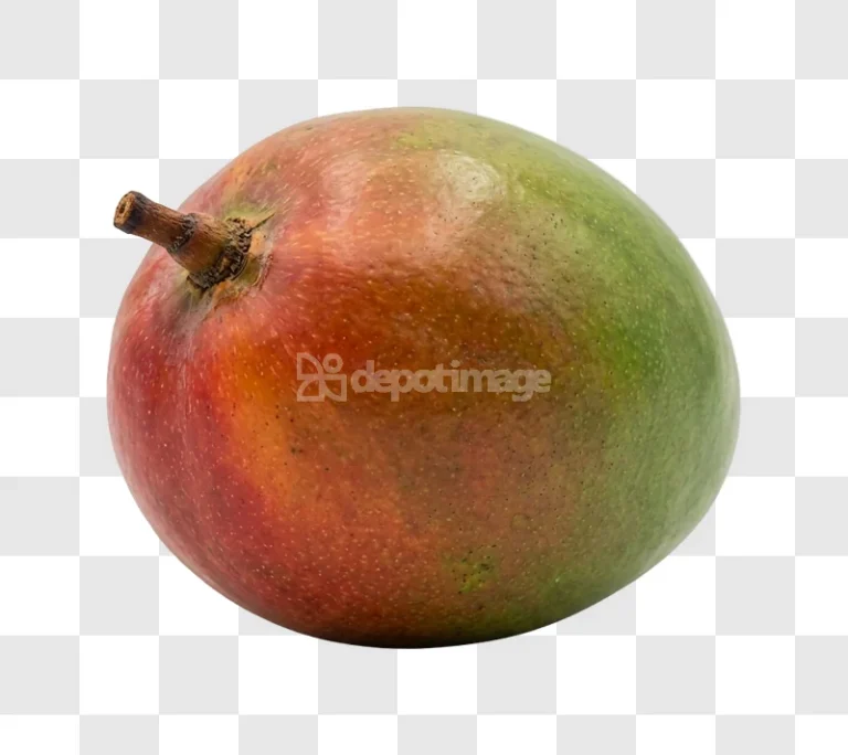 Ripe Green Red Mango Fruit Close up, vibrant colors detailed texture