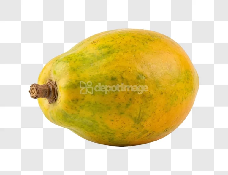 Ripe Yellow Green Papaya Fruit Closeup yellow green speckled skin