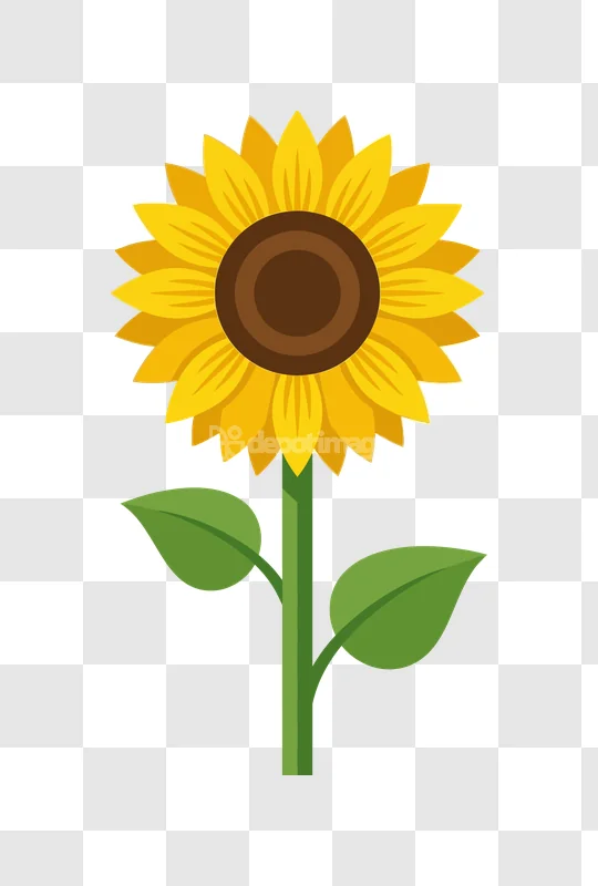 Simple Cartoon Sunflower With Green Leaves flat design yellow brown green