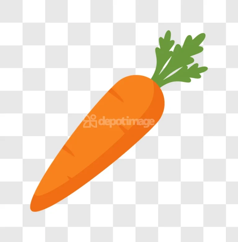 Single Orange Carrot Green Leaf Vegetable flat illustration black background