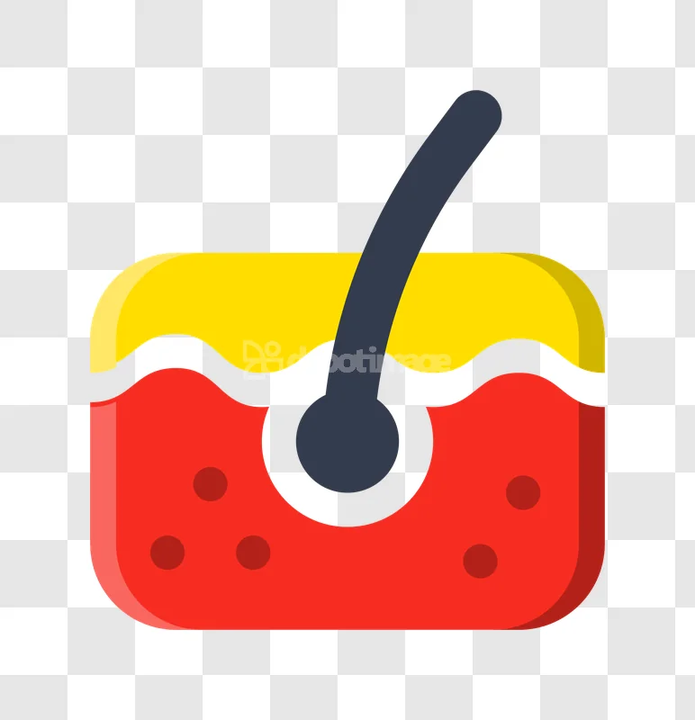 Skin Hair Follicle Anatomy Medical Icon flat style yellow red