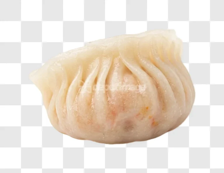Steamed Dumpling Gyoza Wonton light beige pleated texture