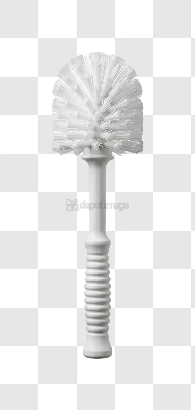 White Bottle Brush Full Length View white bristles transparent background