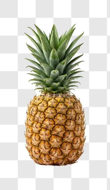 Whole Ripe Pineapple Fruit with green leaves and textured skin