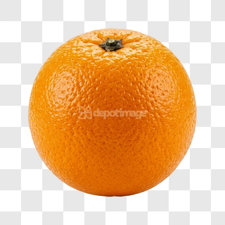 Whole Round Orange Fruit vibrant orange textured skin stem