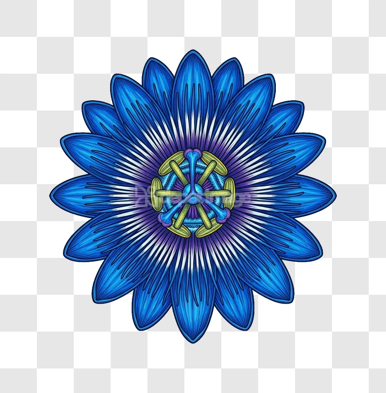Blue Passion Flower Mandala Style Illustration vibrant blue purple yellow intricate design