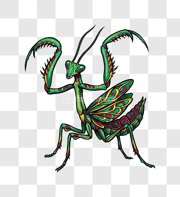 Colorful Mantis Illustration Vibrant Green