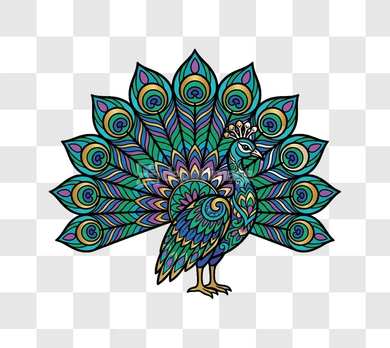 Colorful Peacock Vector Mandala Illustration vibrant teal green purple gold