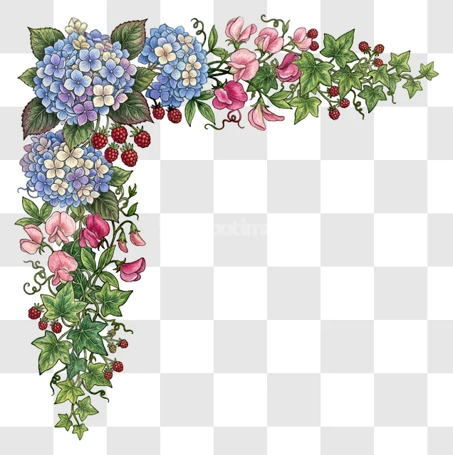 Hydrangea Sweetpea Ivy Berries Floral Border
