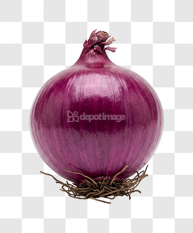 Red Onions With Visible Roots