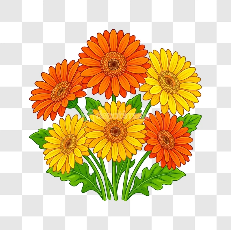 Vibrant Orange Yellow Gerbera Daisy Bouquet cartoon style transparent background