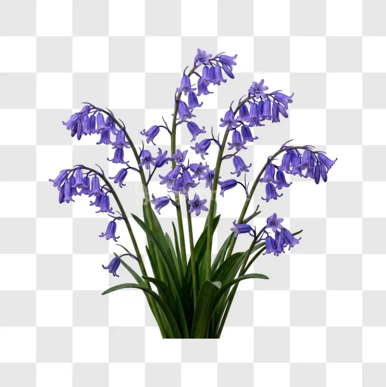 Vibrant Purple Bluebell Bouquet Close up