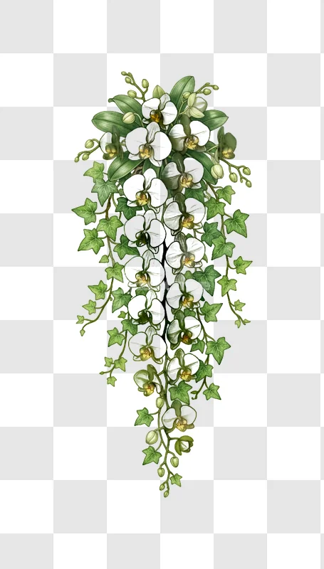White Orchids Ivy Vine Arrangement