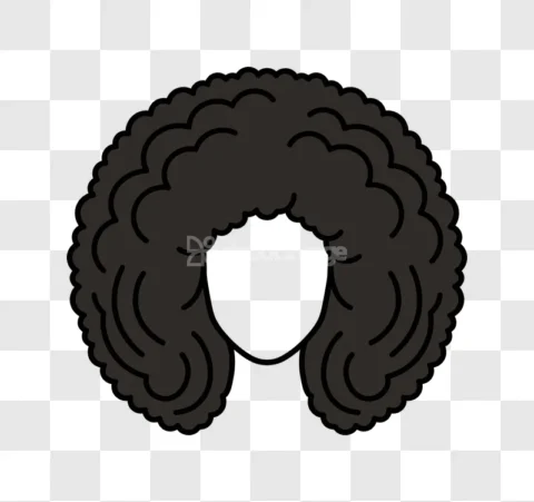 Afro Hair Wig Curly Black Style