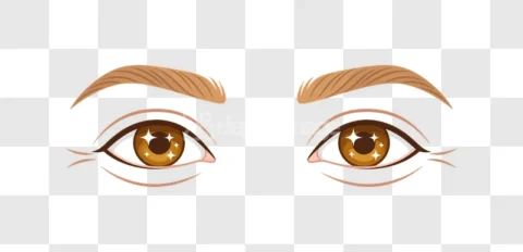 Anime Style Brown Sparkly Eyes Illustration
