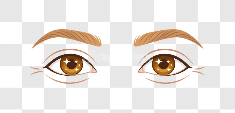 Anime Style Brown Sparkly Eyes Illustration: two brown sparkly eyes with light brown eyebrows