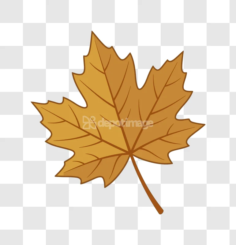 Autumn Maple Leaf Vector Cartoon Style golden-brown transparent background