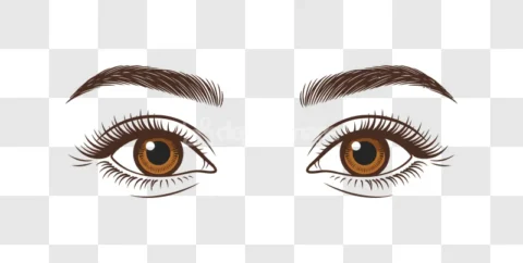 Beautiful Brown Eyes Eyebrows Lashes Iris