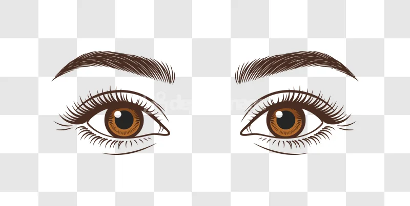 Beautiful Brown Eyes Eyebrows Lashes Iris, detailed brown eyes, dark lashes, black background