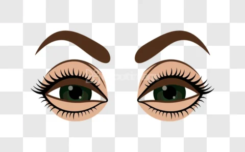 Beautiful Human Eyes Long Lashes Eyebrows