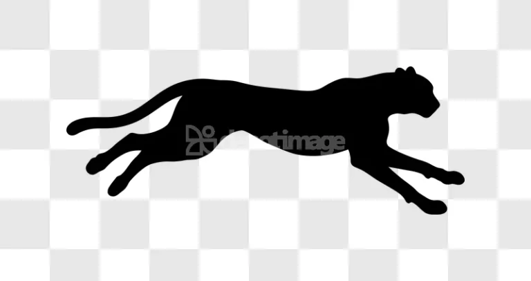Black Cheetah Silhouette Leaping Prowling