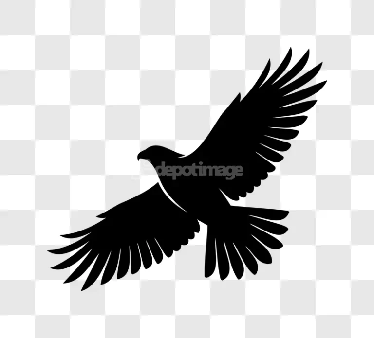 Black Flying Eagle Silhouette Art