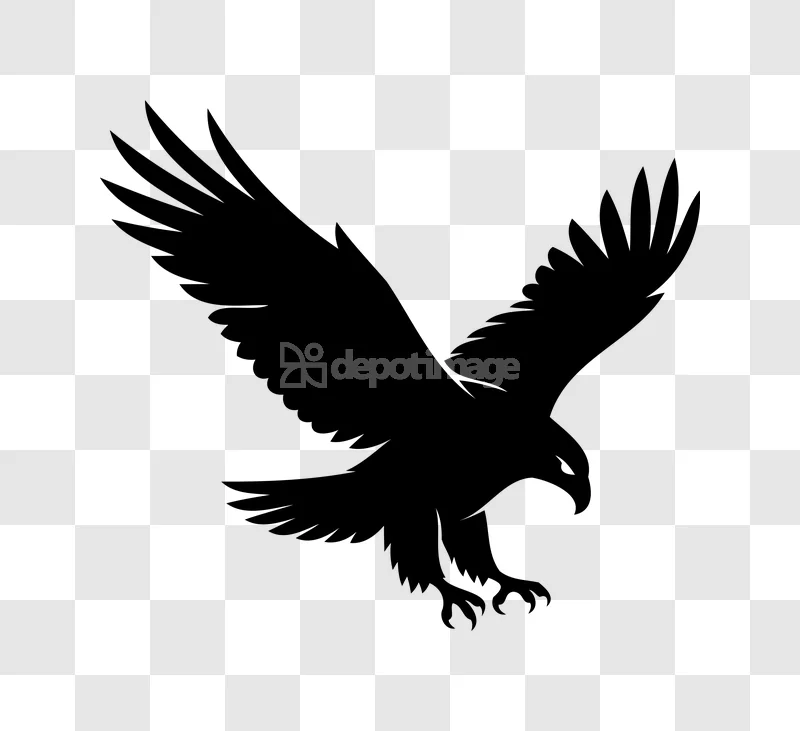 Black Flying Eagle Talons Outstretched isolated on black background