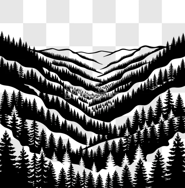 Black White Mountain Pine Forest