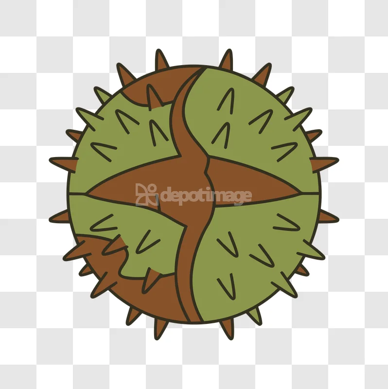 Cartoon Chestnut Spiky Green Brown Vector Icon cartoon style green brown