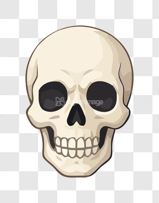 Cartoon Human Skull Bones Vector Illustration light beige cartoon style