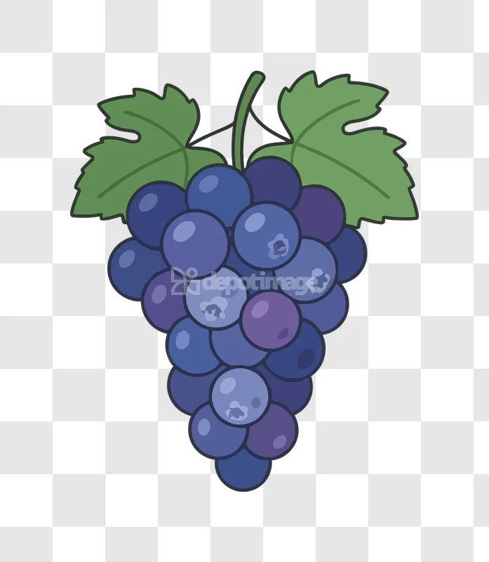 Cartoon Purple Grapes Cluster Leaves Vector cartoon style transparent PNG
