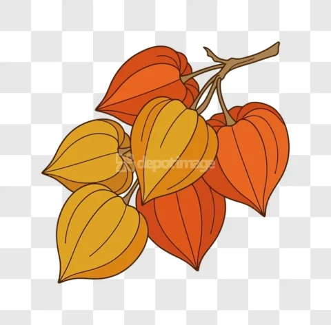 Chinese Lanterns Orange Yellow Illustration