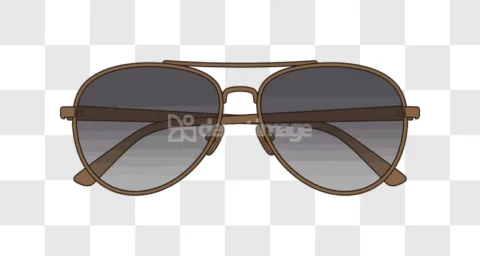 Classic Aviator Sunglasses Brown Frame
