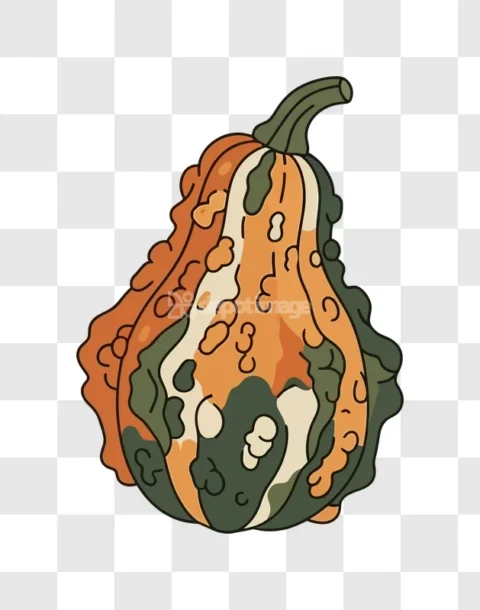 Colorful Gourd Squash Vector Illustration