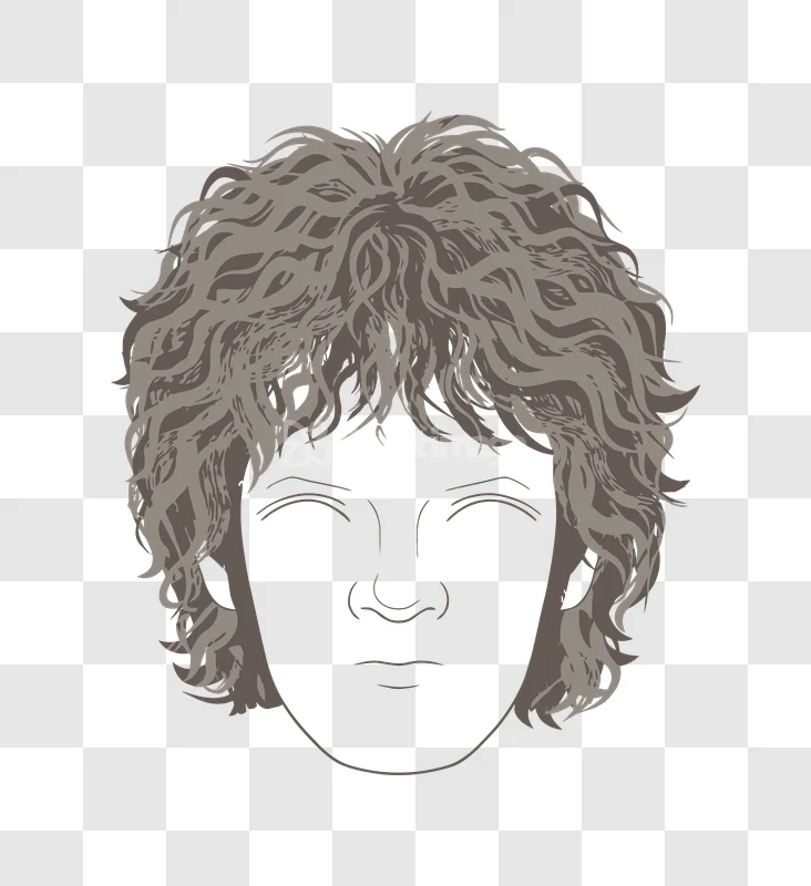 Curly Hair Face Outline Illustration Drawing: stylized, gray curly hair, black face outline