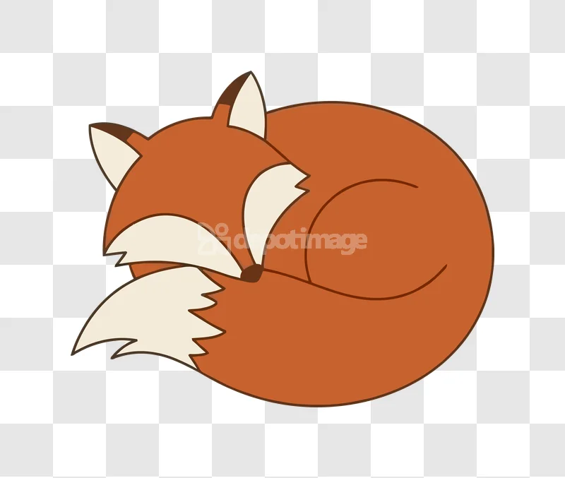 Cute Fox Sleeping Curled up Vector Art cartoon style orange white