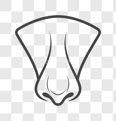Dog Nose Snout Animal Line Art