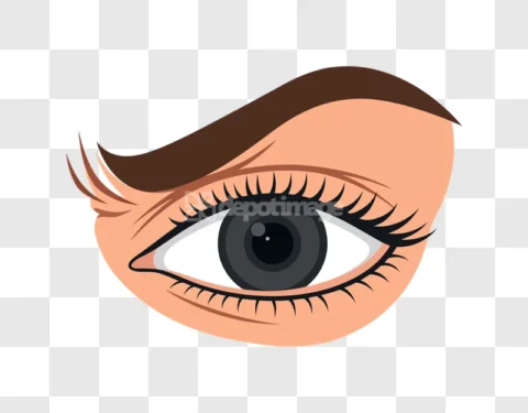 Eye Lash Eyebrow Mascara Makeup Beauty