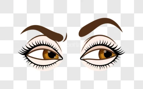 Female Eyes Looking Sideways Brown Iris