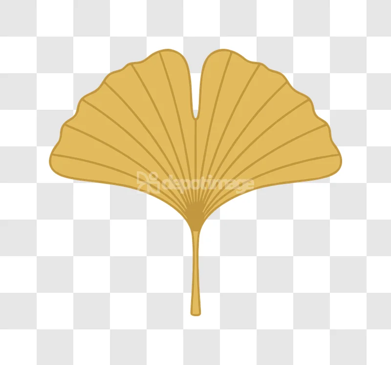 Ginkgo Leaf Flat Yellow Vector Art flat style transparent background
