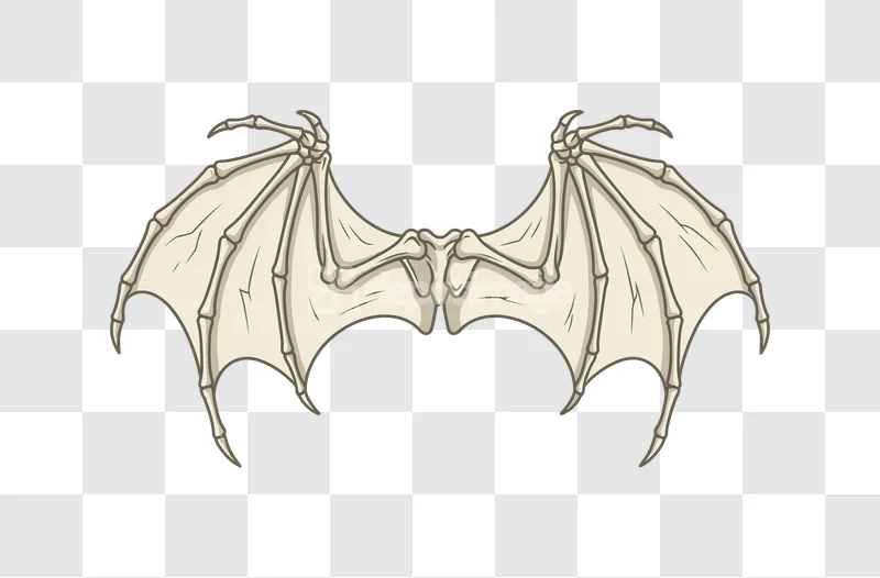 Halloween Bat Dragon Wings Skeleton Bones Creepy skeletal design transparent background