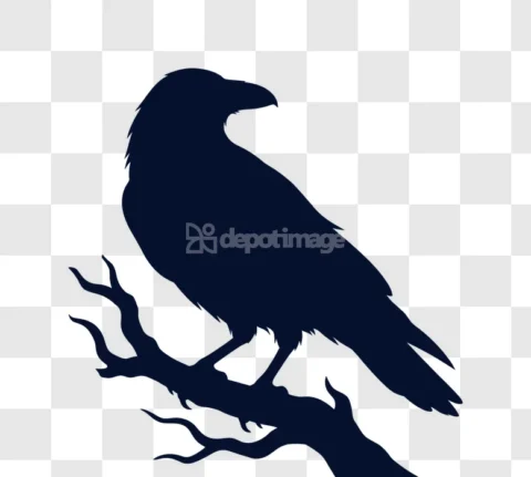 Halloween Raven Bird Black Silhouette