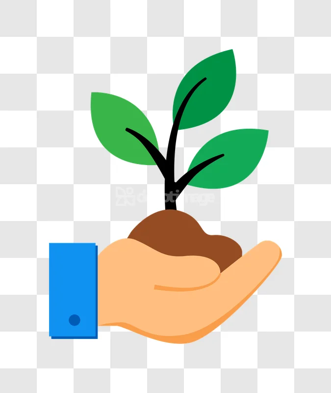 Hand Holding Growing Plant Investment Growth