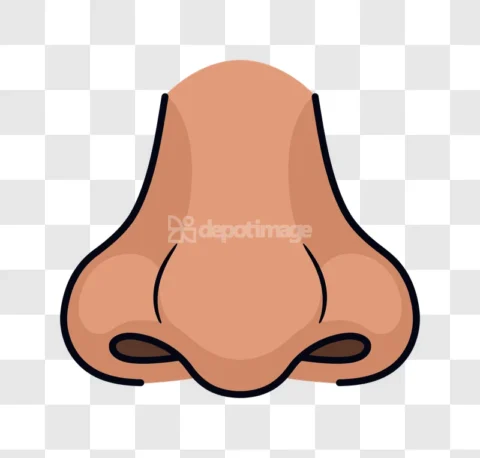 Human Nose Cartoon Style Illustration Front
